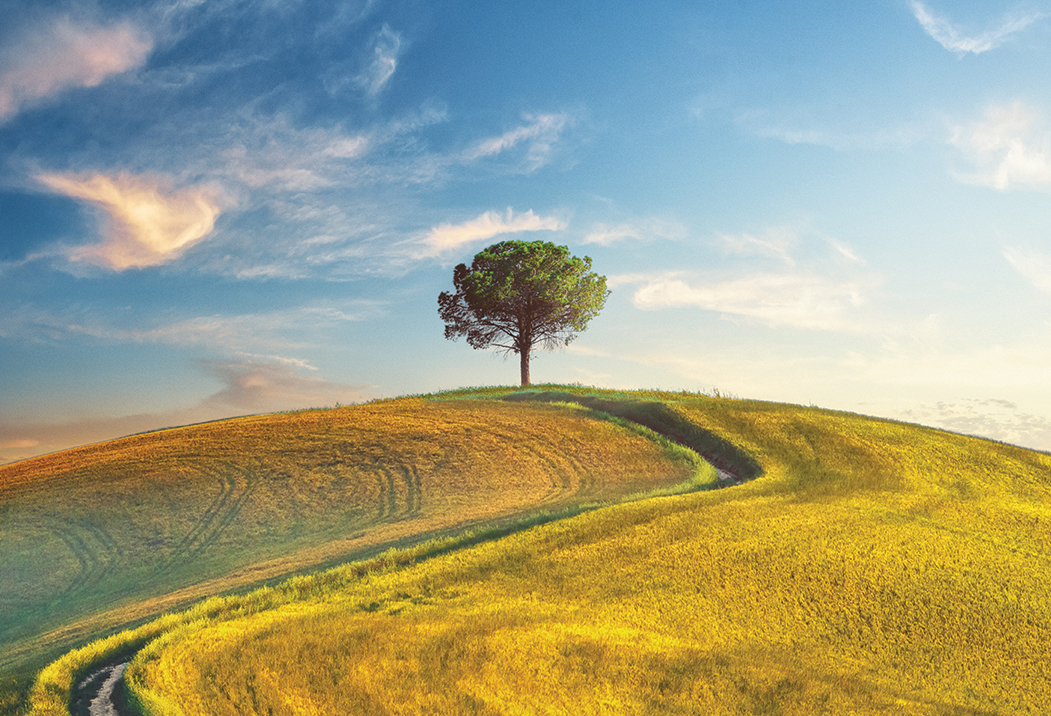 Guaranteed Renewal Rates Highlight Launch of New Prosperity Life Group FIAs: Prosperity PathPro℠ Series